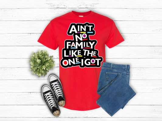 Ain’t No Family Like The One I Got Tshirt